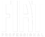 fiatprofessional-avservice2