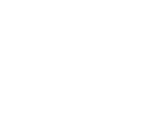 lancia-avservice